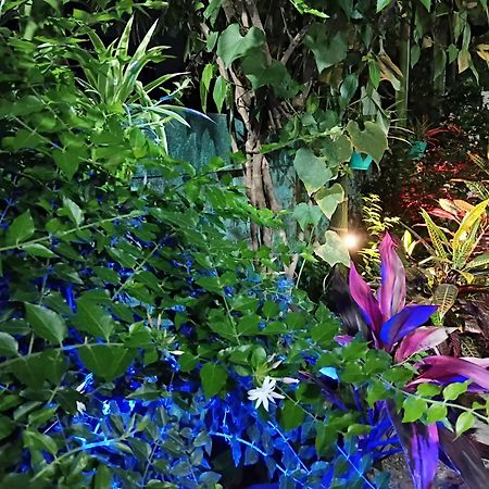 Green View Homestay Siliguri Εξωτερικό φωτογραφία