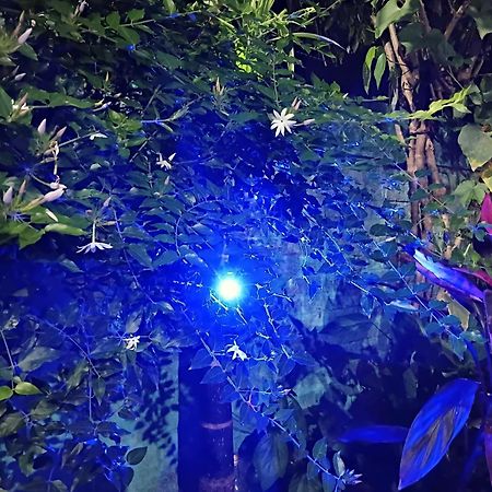 Green View Homestay Siliguri Εξωτερικό φωτογραφία