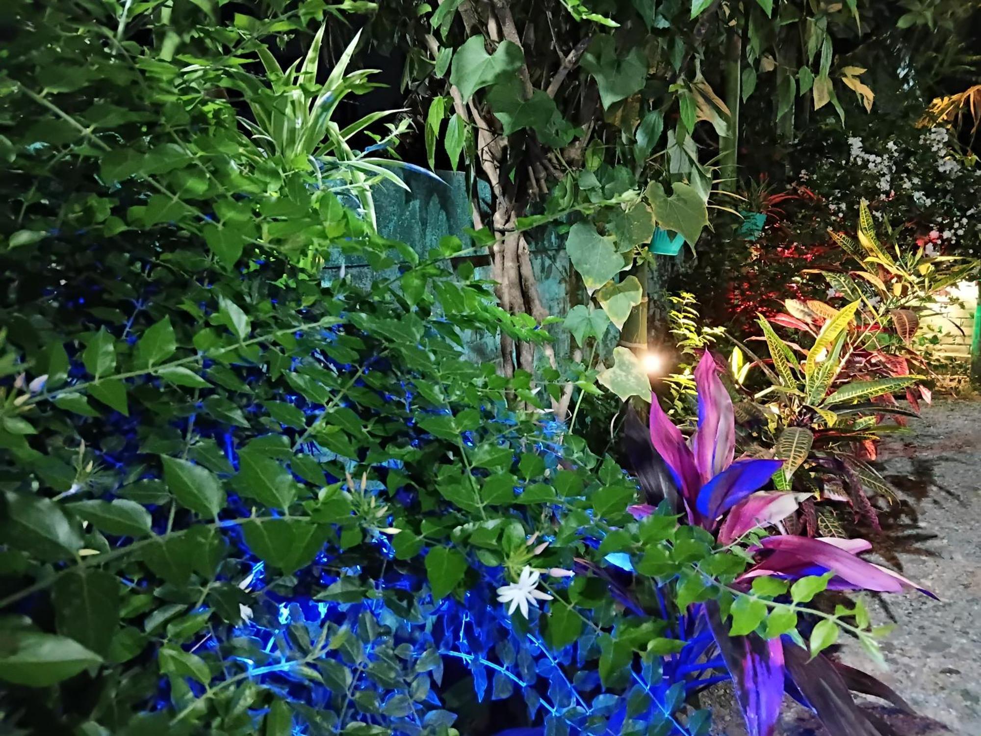 Green View Homestay Siliguri Εξωτερικό φωτογραφία