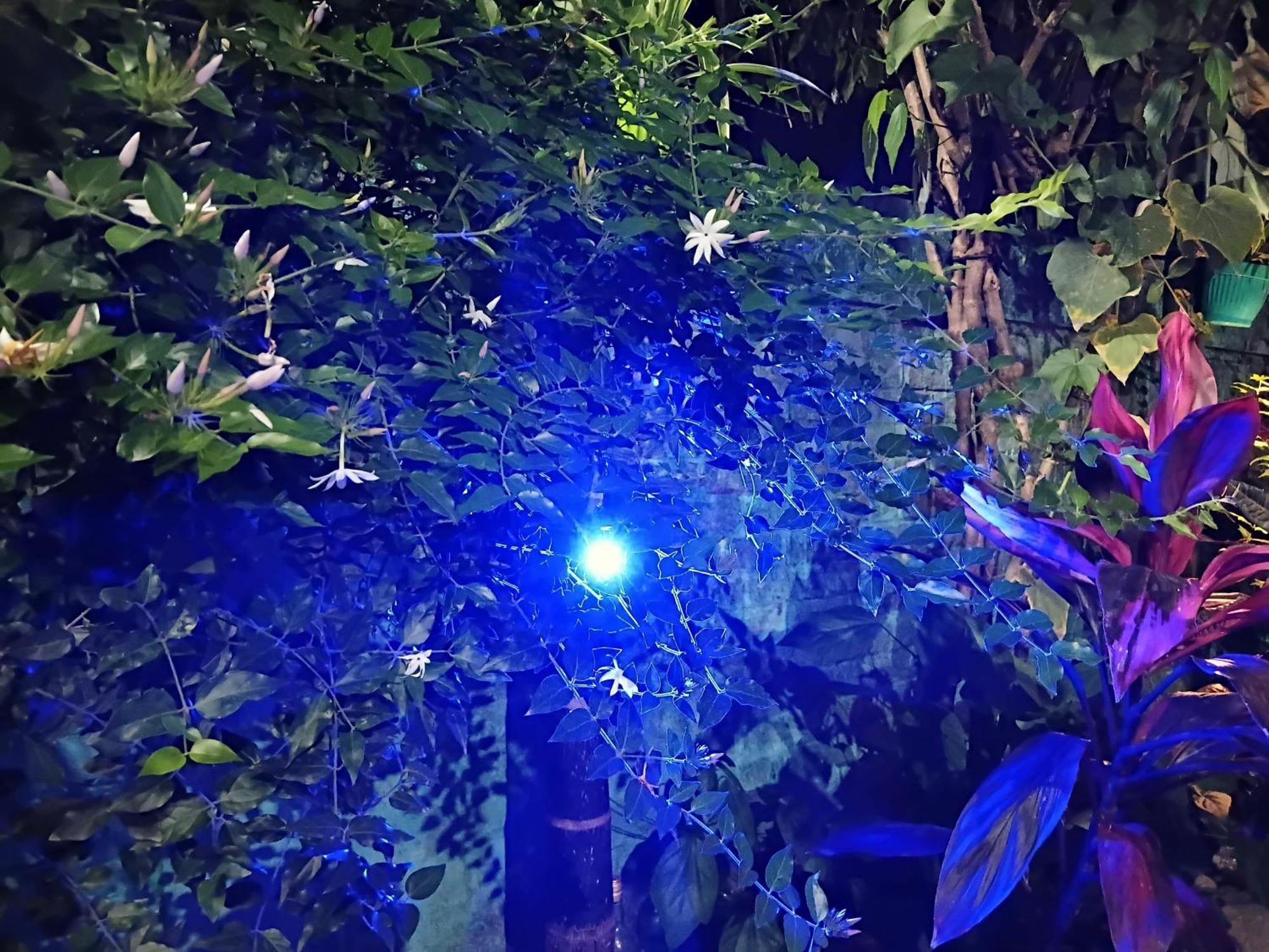 Green View Homestay Siliguri Εξωτερικό φωτογραφία